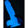 Lumino Gode phosphorescent Lumino 15 x 4cm